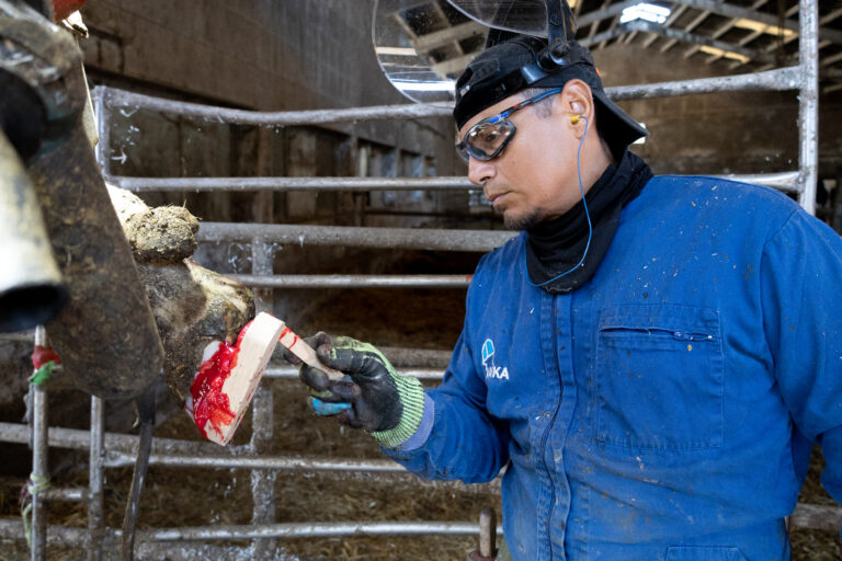 Protocolo de colocación de tacos: Paso a paso para el éxito